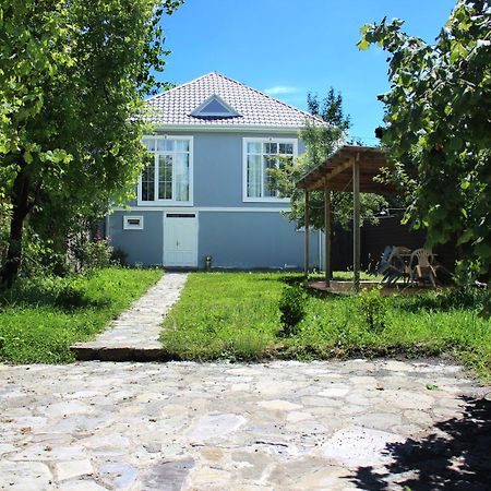 Soft Villa Gabala Esterno foto